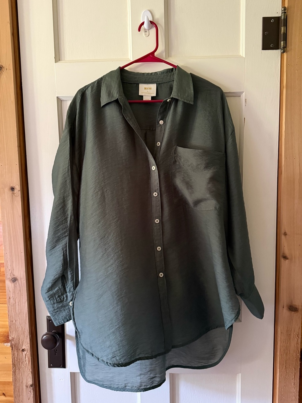 The Bennett Button Down Shirt by MAEVE Anthropologie: Sheer Edition - Picture 9 of 16